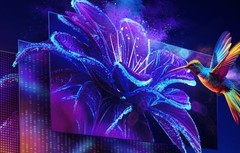 高性价比学生显示器选哪款，先看清这几点再决定