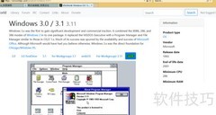 Windows 3.11安装指南