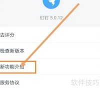 钉钉新功能查看指南