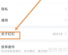 钉钉新功能查看指南