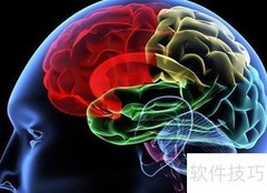 你真的懂生物钟吗？