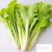 营养配餐：科学计算进食量