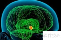 了解你的生物钟秘密