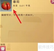 野味汉堡制作攻略