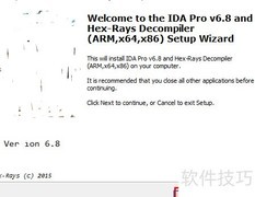 IDA Pro 6.8 安装指南