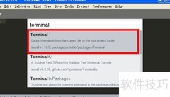 Sublime Terminal插件使用指南