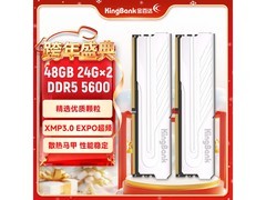 金百达银爵DDR5 5600内存条优惠购
