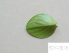 树叶豆子DIY创意小鸟