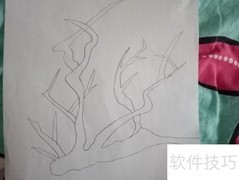 梅之衍纸：DIY创意教程