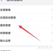 华为手机服务管理设置指南