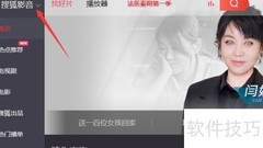 Matroska媒体设置指南