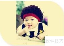 伤寒简介：病因与症状解析