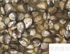 伤寒预防与症状全解析
