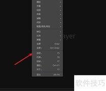 PotPlayer徽标显示设置方法
