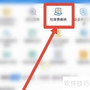 城镇医保缴费记录查询指南