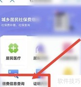 城镇医保缴费记录查询指南