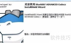 Win10解码器安装指南