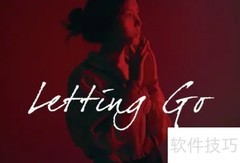 Letting Go是什么意思