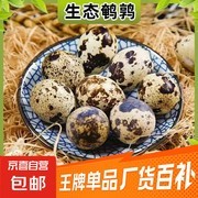 生鲜鹌鹑蛋拍3发4，15枚装到手价仅5.99元！
