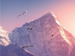 华为2025年报出炉：营收8809亿增2.19%，智能汽车与鸿蒙生态成新增长极