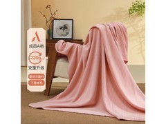 百丽丝A类雪尼尔毛毯29元