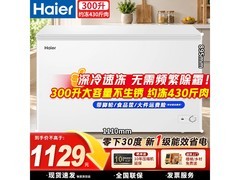 海尔300升冰柜京东特惠，满足商用冷冻