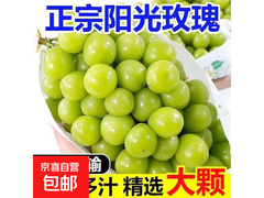 云南阳光玫瑰葡萄带箱4斤仅19.9元，清甜多汁速来！