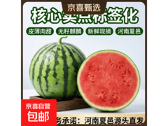 河南夏邑冰糖麒麟美都无籽西瓜，5斤以上仅14.9元