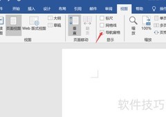 World文档结构查看方法