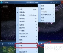 QQ影音3.9加载字幕教程