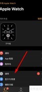 苹果手表7.6更新亮点