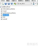 数据库导出与导入简明指南