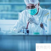 research与study的区别解析