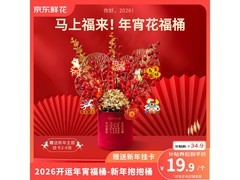 京东太妃拿铁玫瑰非洲菊束低至19.9元
