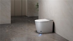 双第一！九牧小牧获轻智能马桶全球销量第一、中国销量第一