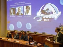 2025诺奖揭晓：三人因宏观量子穿墙术突破获奖