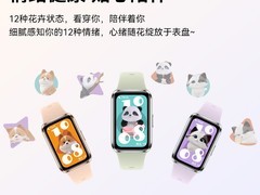 华为手环11系列特惠，到手仅193元