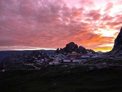 预算五万，一步到位的中画幅相机推荐