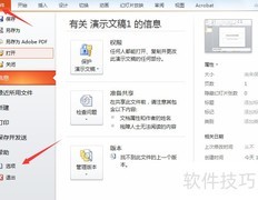 PPT开发工具调出方法