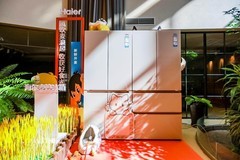 中国冰箱业TOP5型号4款是海尔