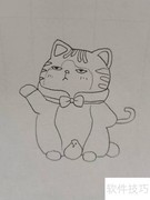 盲盒花猫绘画教程