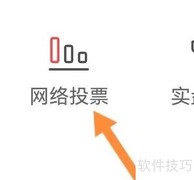 如何查看平安资讯网络投票