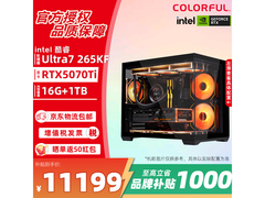 七彩虹电竞主机京东特惠，到手 11199 元