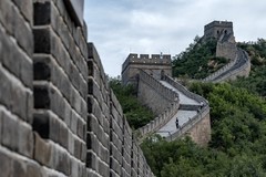 想拍Vlog，尼康这几台相机闭眼入