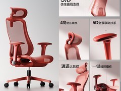 爱果乐玫瑰椅B人体工学椅到手仅539元