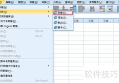 SPSS一键频率统计教程