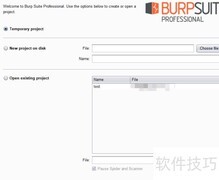 Burp查看Alert数据方法