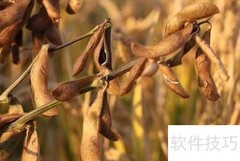 锰元素促进植物生长