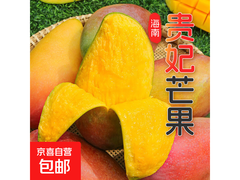 海南树上熟贵妃芒果5.9元1斤，京东包邮速来抢！