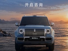 魏牌全新蓝山开启盲订：2.0T插混+双电机，五/六座可选，2026年上市